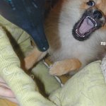 날 제발 내버려뒈 !!