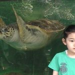 거북이vs<b>우라</b>아이