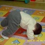 <b>자진</b>납세