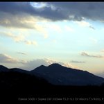 오늘 저 혼자만 <b>올리</b>내예29