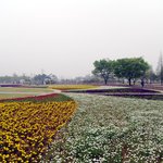 오랜만에 <b>올리</b>내예8