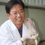 <b>진순</b>이를 아시나요