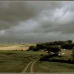 거치른 벌판으로 달려가자 (10)