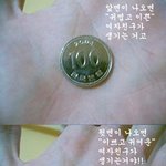 솔로<b>예찬</b>!