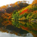 경관이 잘나와서 올립<b>니더</b>예4