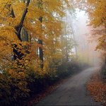 the <b>great</b> scenery