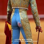 가여운 <b>투우사</b>