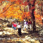 대구<b>팔공산</b>의 가을