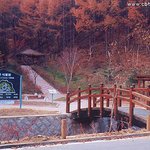 <b>음성</b>-봉학골