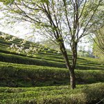 오랜만에 <b>올리</b>내예9