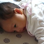 아침햇살 받으며 엎드린 <b>서여</b>니