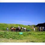 제주도 <b>우도</b>