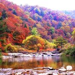 호수와 <b>단풍</b>