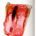 맛있는<b>사탕</b>