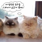내생각엔 우리중 스파이가 있는....