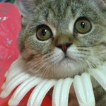 이쁜 우리딸, '누리'예요^^이쁘게봐주세요~