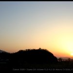 오늘 저 혼자만 <b>올리</b>내예31