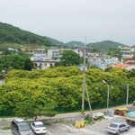 <b>천연</b>기념물 138호 - 안면도 모감주나무군락