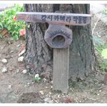 놀라운 <b>무인</b>감시카메라!