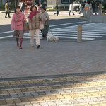2003 도쿄 반딧불 여행