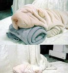 <b>수건</b>일까? 강아지일까?