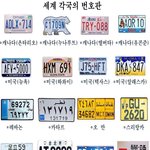 세계 <b>각국</b>의 자동차 번호판들