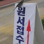 무서워서 <b>접수</b>하겠어