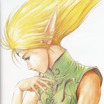 <b>record</b> of lodoss war 056