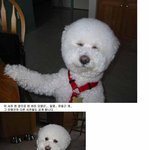 <b>일명</b>:유동근 개~