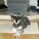 강<b>쥐들</b>...
