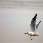 창공, <b>그</b> <b>속</b>에 내가 있다! (7)