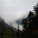 봐줄만해서 올립<b>니더</b>예24