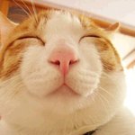 <b>미소천사</b> ~~