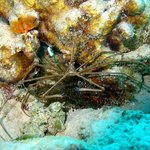 아름다운 바다 <b>생물</b> 01