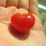 <b>딸애</b> 손바닥에놓고 ~