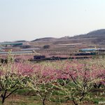 오늘도 어김없이 올립<b>니더</b>예14