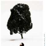 그곳에 <b>서서</b>