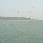 서해안 영종도 삼목 선착장  건너편에 있는 섬 - <b>신도</b> 전경