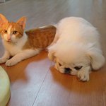 <b>난로</b> 앞에서는 싸우지 말자