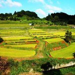 경관이 잘나와서 올립<b>니더</b>예7