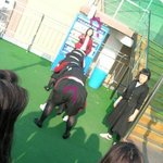 미치겠다~여고생들 <b>말뚝</b>박기