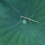 이름모를<b>곤충</b>
