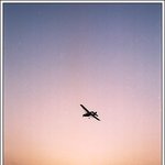 땅에는 사람..하늘에는 비행기.........