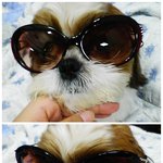 사랑스런 <b>배은망덕</b> 몽돌이