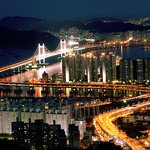 가장 <b>아름</b> 다운 다리는?