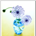 <b>화분</b>속의 작은 꽃5
