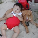 페니랑.....<b>해변</b>에서...