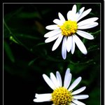 ..<b>당</b>.신.께.감.사.합.<b>니</b>.다..