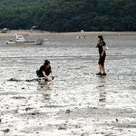 살아있는 <b>갯벌</b> (5)