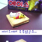 <b>에이스</b> 침대는 과학이 아닙니다